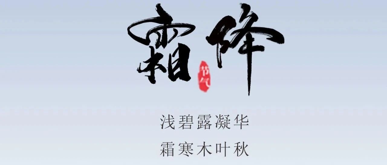 霜降 | 人世至此秋色尽  霜染枝头享恬静