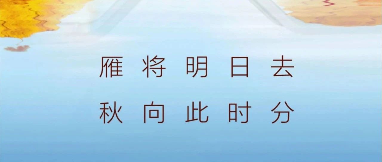 秋分 | 雁将明日去  秋向此时分！